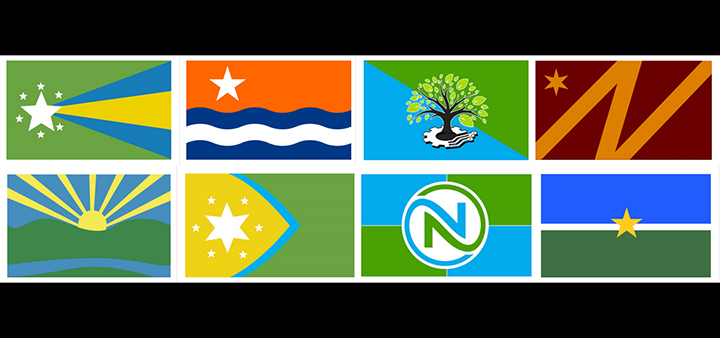 Last day to vote for City of Norwich flag